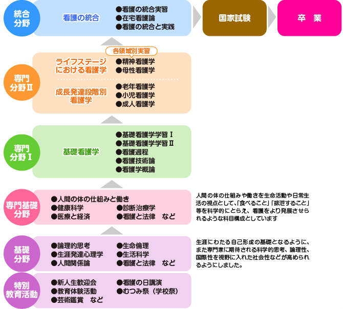 カリキュラムの概要